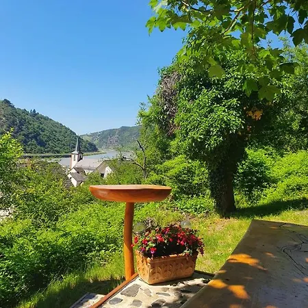 Zum Rheinblick Daire