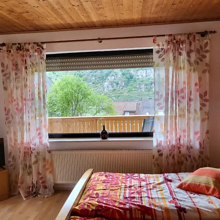 Zum Rheinblick Appartement