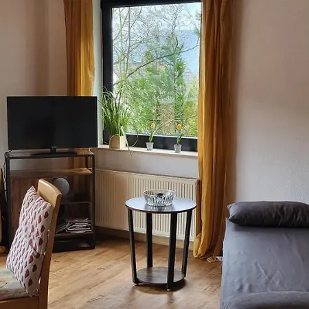 Apartment Zum Rheinblick