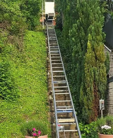 Zum Rheinblick