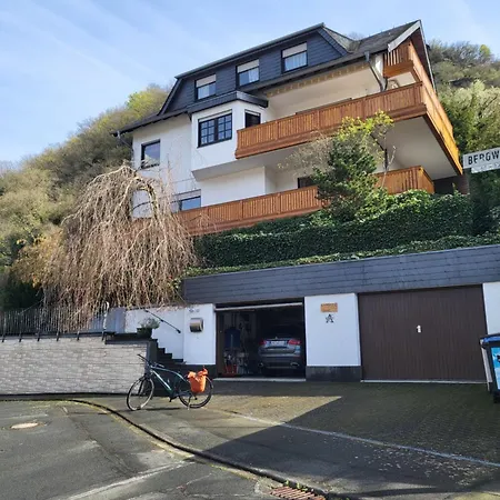 Apartment Zum Rheinblick Kestert