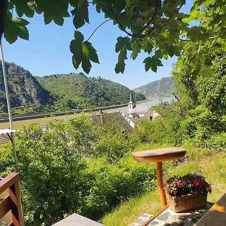 Zum Rheinblick * Kestert