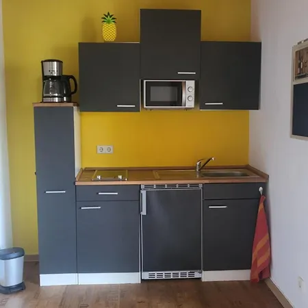 Apartment Zum Rheinblick *