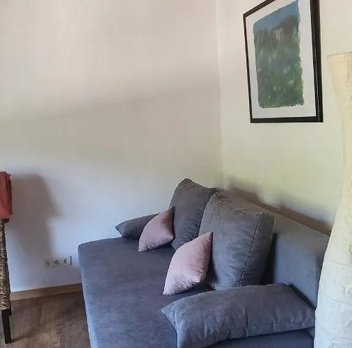 דירה Zum Rheinblick *